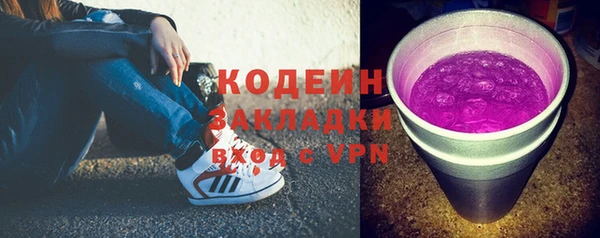 стаф Сясьстрой