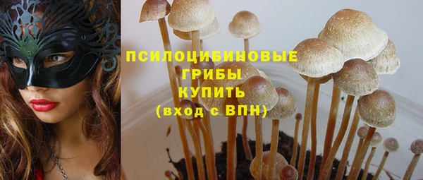 дурь Верхнеуральск